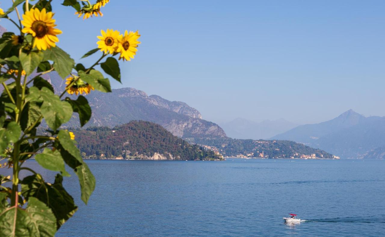 Appartamento Sosta Sul Lago Lezzeno Dış mekan fotoğraf
